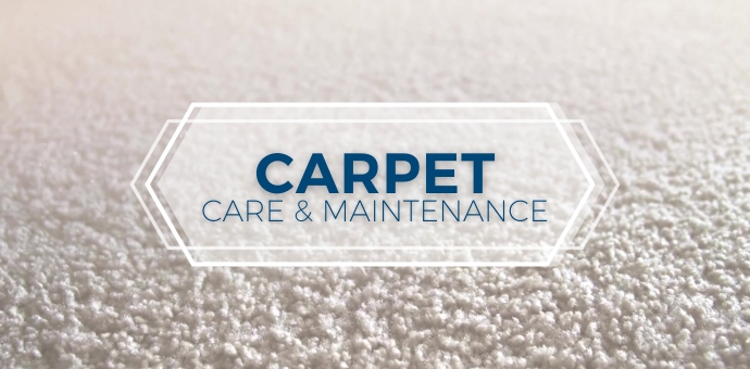 carpet care and maintenance