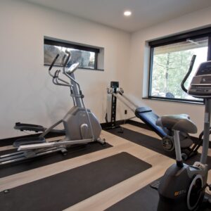 home gym with light colored wood-look vinyl floor