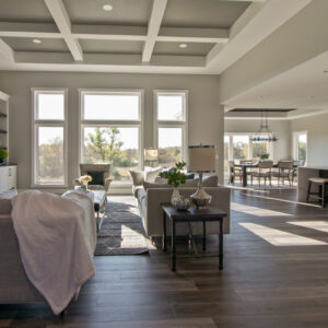 transitional farmhouse living room, coyle carpet one, Madison, WI