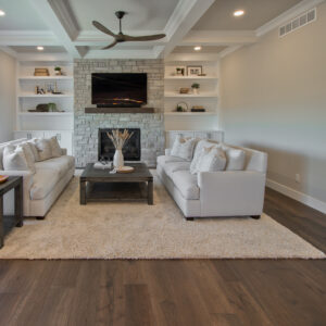 livingroom media center by coyle carpet one, madison wi