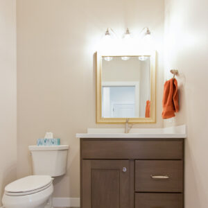 white-sands-bayou-coyle-carpet-madison-wi