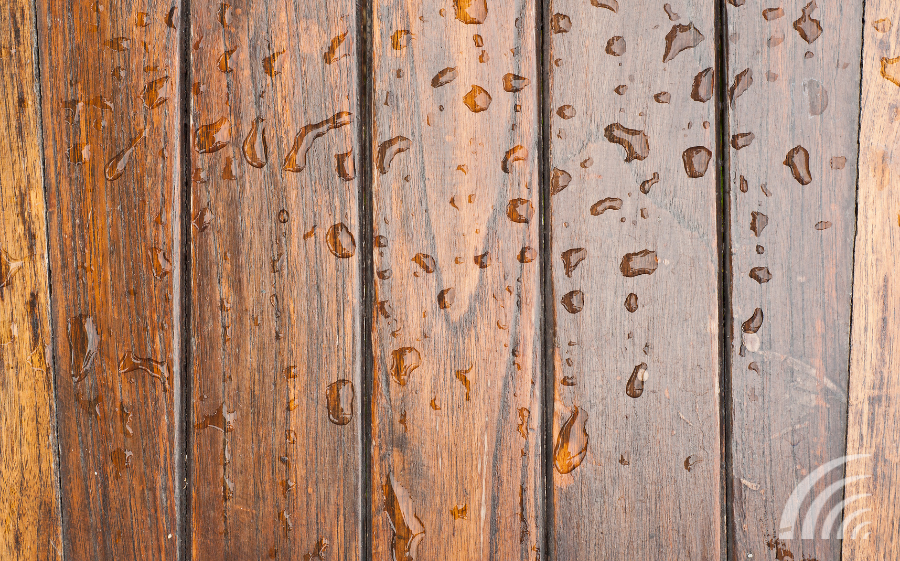 Hardwood Floors and Moisture Coyle Carpet One Floor & Home