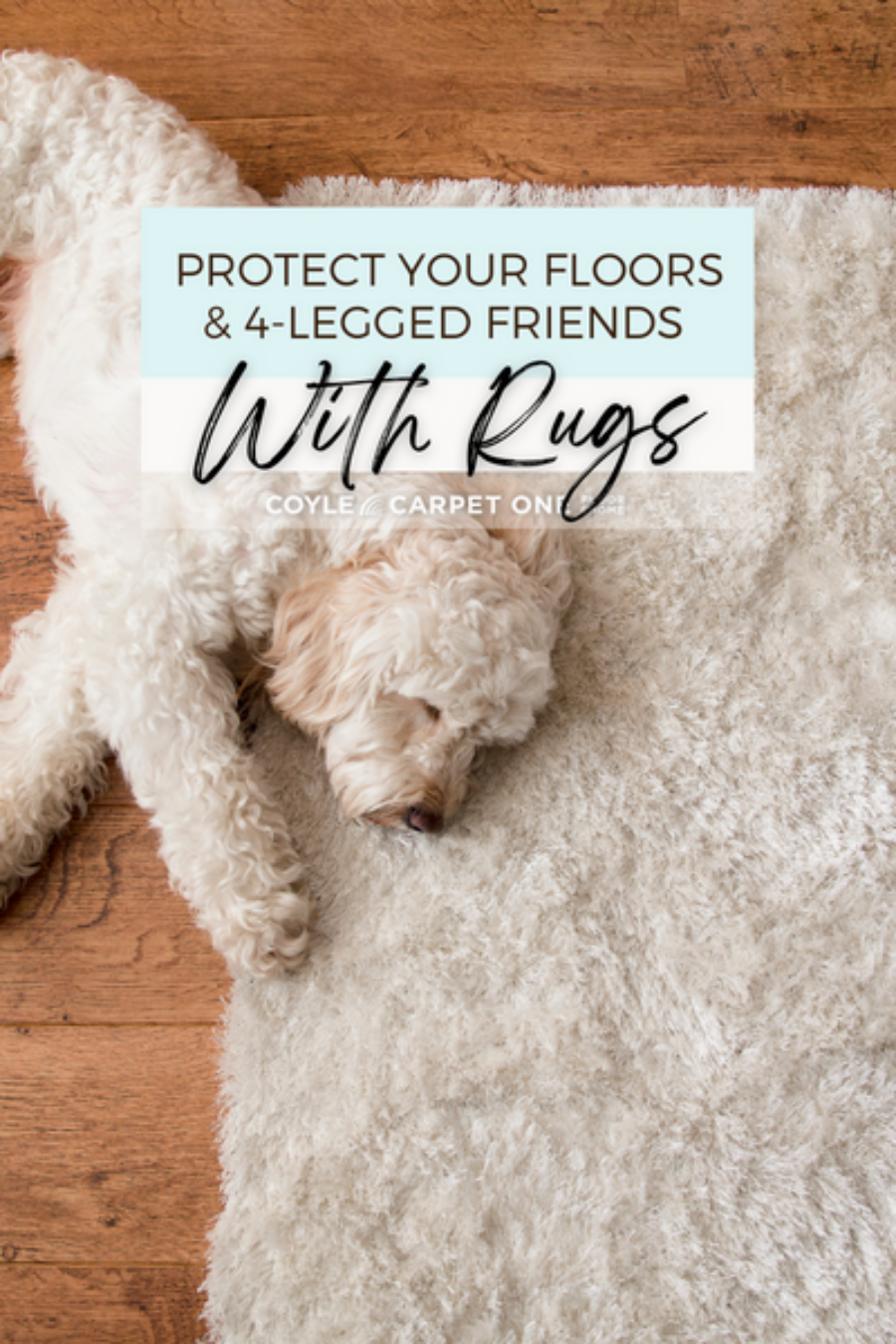 rugs protect floors & pets