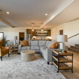 modern european style lower level family room