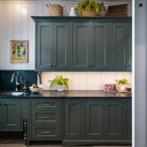 green pantry cabinets from coyle carpet one