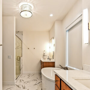 Urban Modern Elegance primary bathroom design