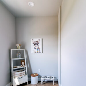Urban Farmhouse pet room with vinyl floors