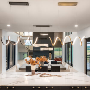 Modern & Moody Luxe - modern transitional interior design