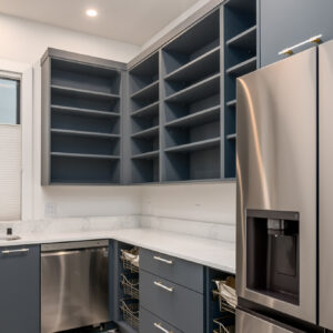 modern transitional pantry design