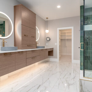 modern transitional primary bathroom design