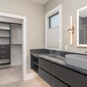 modern transitional guest bathroom design