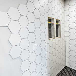 chic geometric modern primary shower with niche