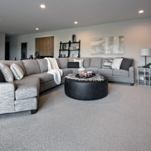 The lower-level rec room is enhanced by Dreamweaver Mykonos carpet in Serene, providing a plush, soft surface that adds warmth and comfort to the space.